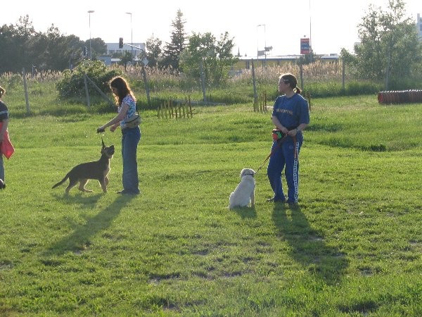 MALA ŠOLA MAJ 2005 - foto