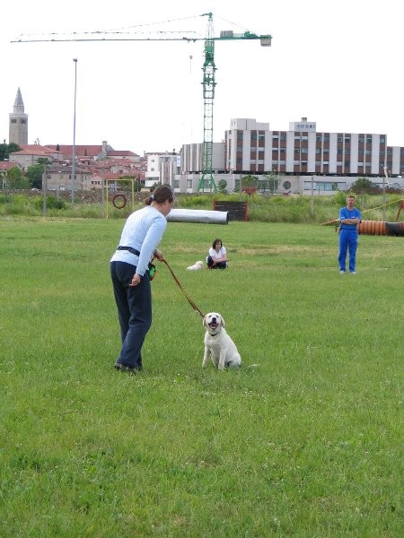 MALA ŠOLA MAJ 2005 - foto