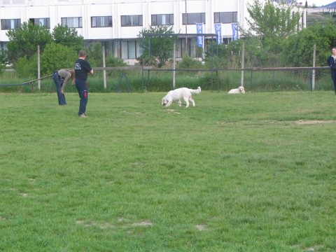 Trening mala sola 03.05.2005 - foto povečava