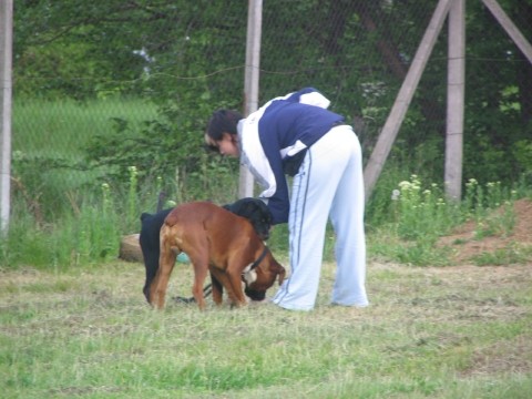 Trening mala sola 03.05.2005 - foto povečava