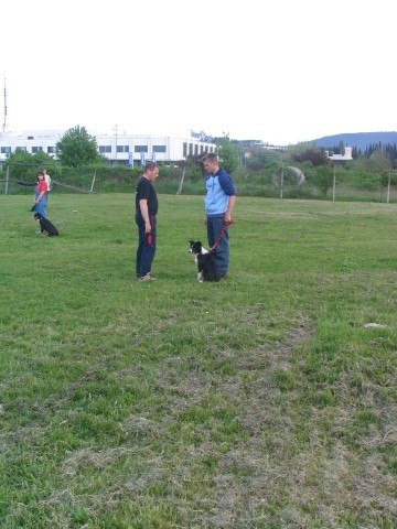 Trening mala sola 03.05.2005 - foto povečava