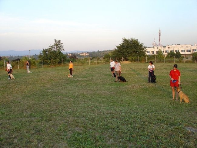Poletna mala šola2005 - foto povečava