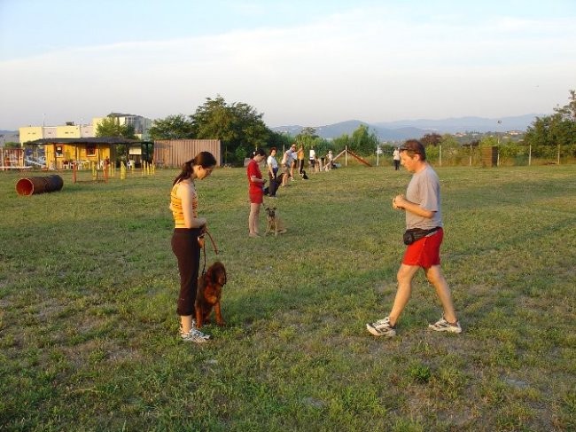 Poletna mala šola2005 - foto povečava