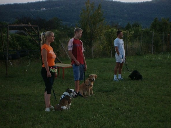 Poletna mala šola2005 - foto povečava