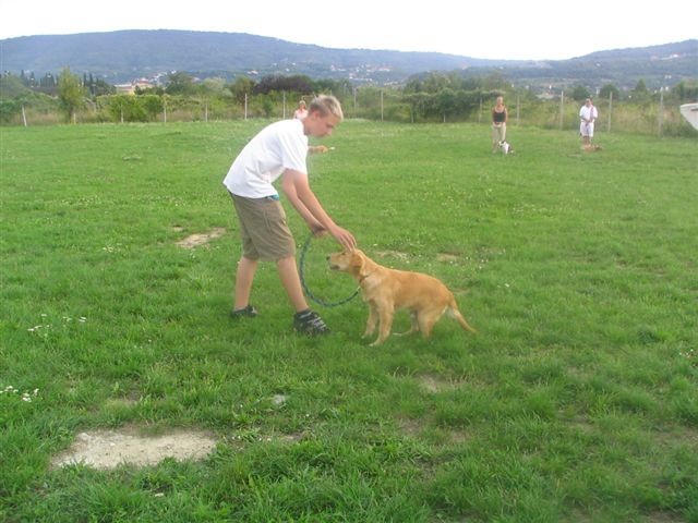 Poletna mala šola2005-izpit - foto