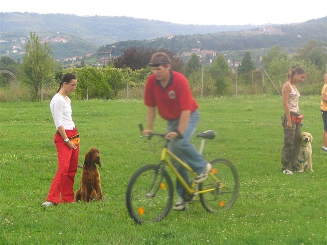 Poletna mala šola2005-izpit - foto