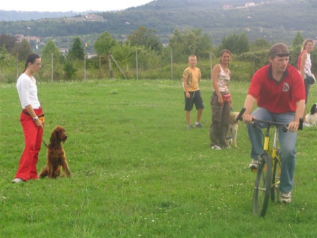 Poletna mala šola2005-izpit - foto