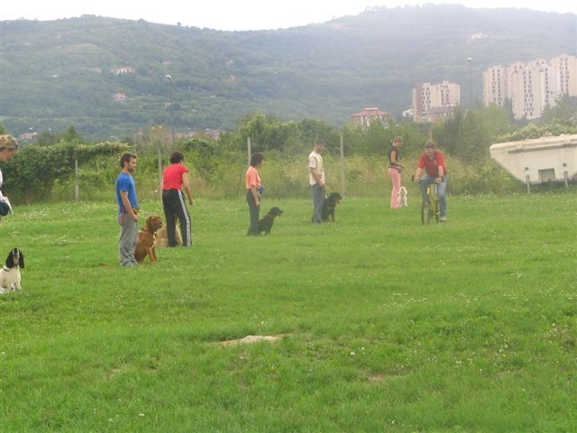 Poletna mala šola2005-izpit - foto