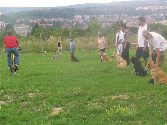 Poletna mala šola2005-izpit - foto