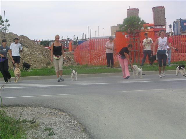 Poletna mala šola2005-izpit - foto