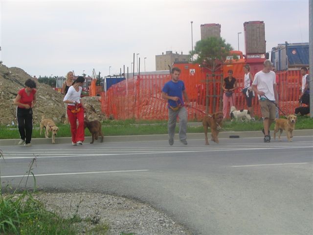 Poletna mala šola2005-izpit - foto