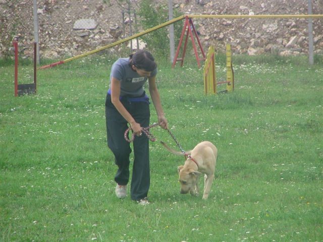 Poletna mala šola2005-izpit - foto povečava