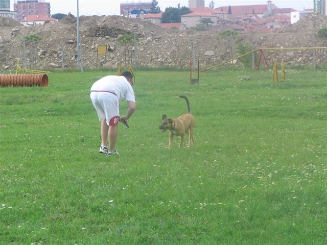 Poletna mala šola2005-izpit - foto