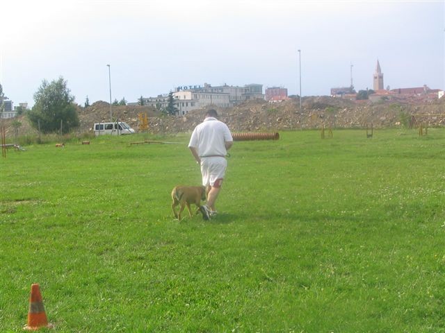 Poletna mala šola2005-izpit - foto povečava