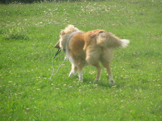 Poletna mala šola2005-izpit - foto