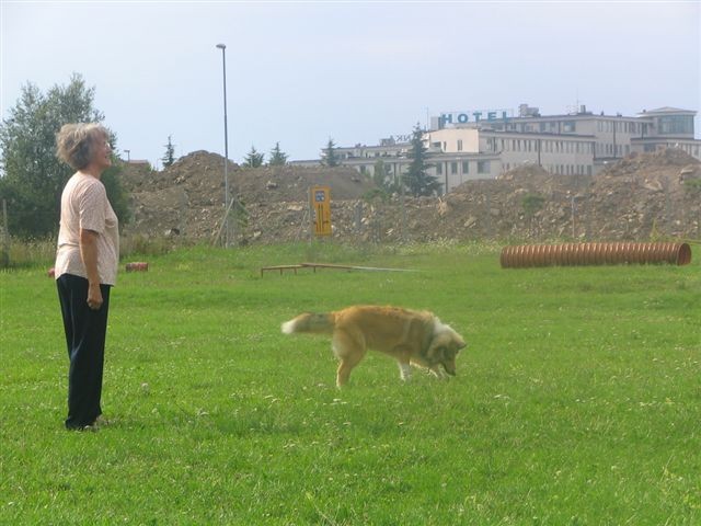 Poletna mala šola2005-izpit - foto