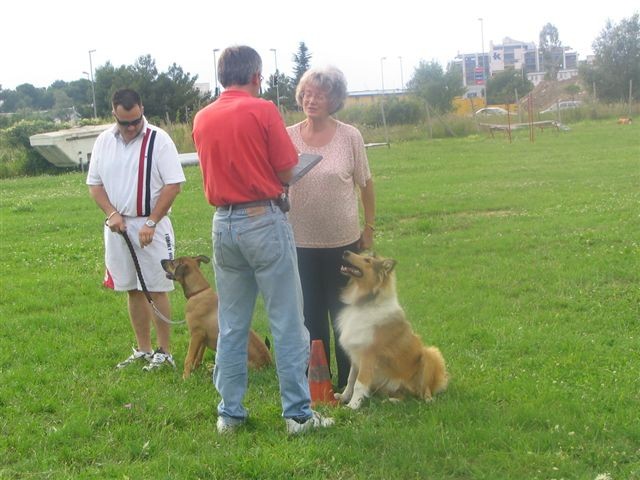 Poletna mala šola2005-izpit - foto