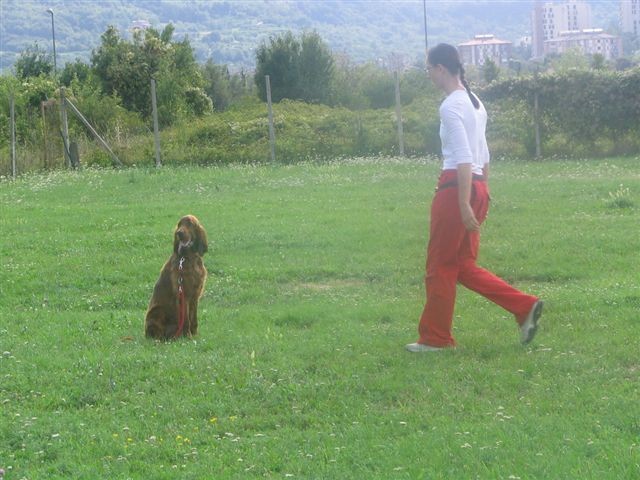 Poletna mala šola2005-izpit - foto