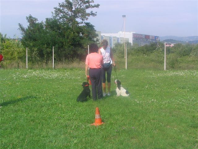 Poletna mala šola2005-izpit - foto