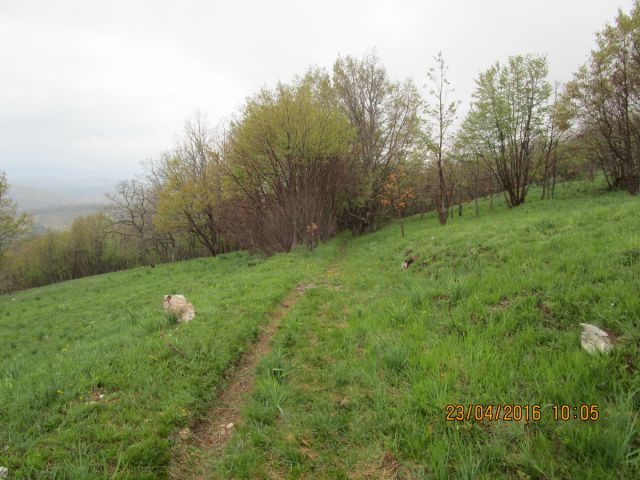 SVETA TROJICA - PIVKA 23.4.2016 - foto