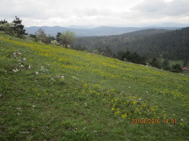 SVETA TROJICA - PIVKA 23.4.2016 - foto