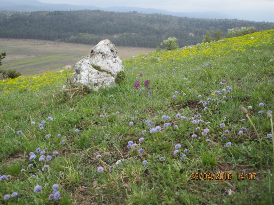 SVETA TROJICA - PIVKA 23.4.2016 - foto povečava