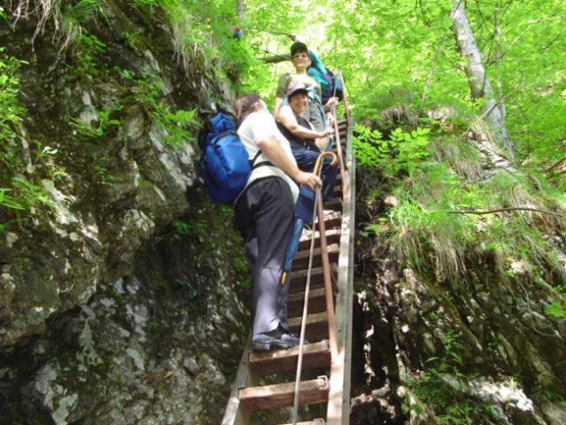 PEKEL PRI BOROVNICI 2006 - foto