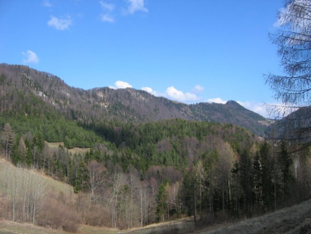 PAŠKI KOZJAK, 28. marec 2005 - foto