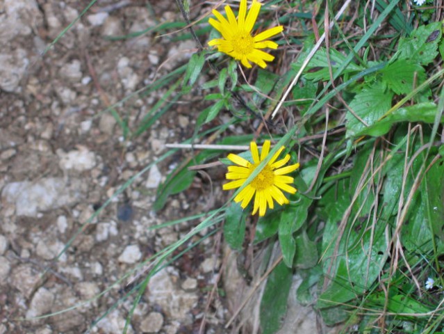 LOGARSKA DOLINA 3. - 4.9.2004 - foto