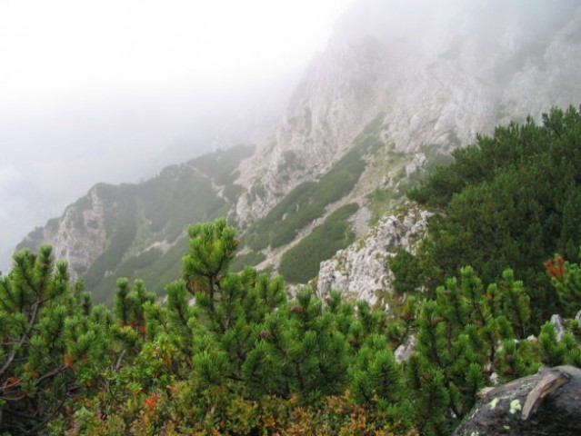 BEGUNJŠČICA, 28. avgust 2005 - foto