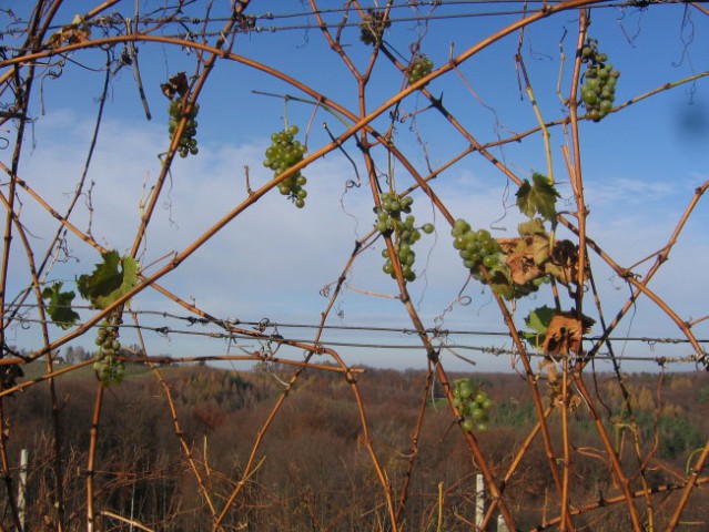 IZLET V NEZNANO, 20. november 2005 - foto