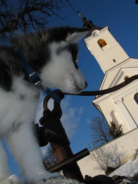 Mini smučišče pri cerkvici - foto povečava