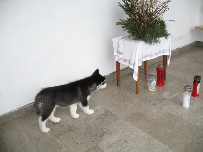 Sprehod do Kureščka (16.2.2006) - foto povečava