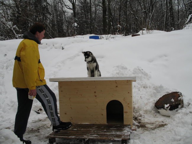 Doma narejena pasja uta (26.2.2006) - foto povečava