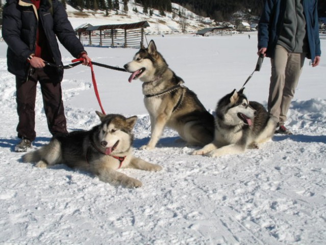 Rateče 3.2.2007 - foto