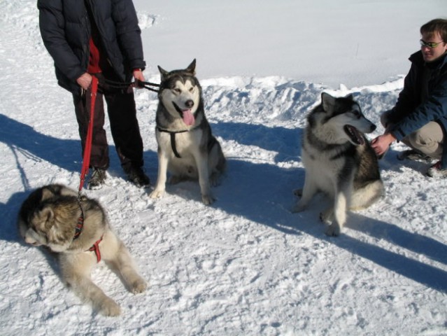 Rateče 3.2.2007 - foto