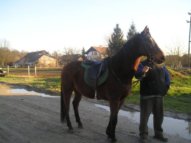 Monty - foto povečava