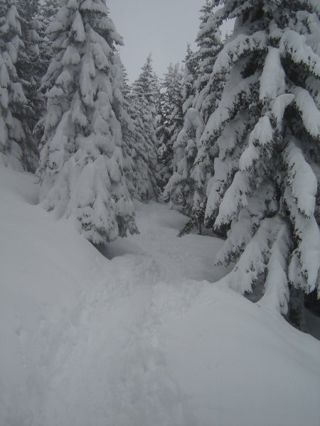 Kriška gora - foto povečava