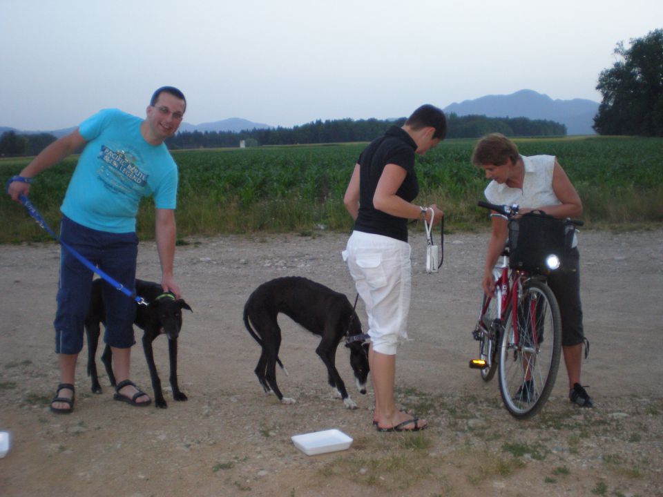 Slovensko društvo za pomoč hrtom - foto povečava