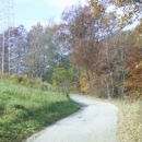 Hribček