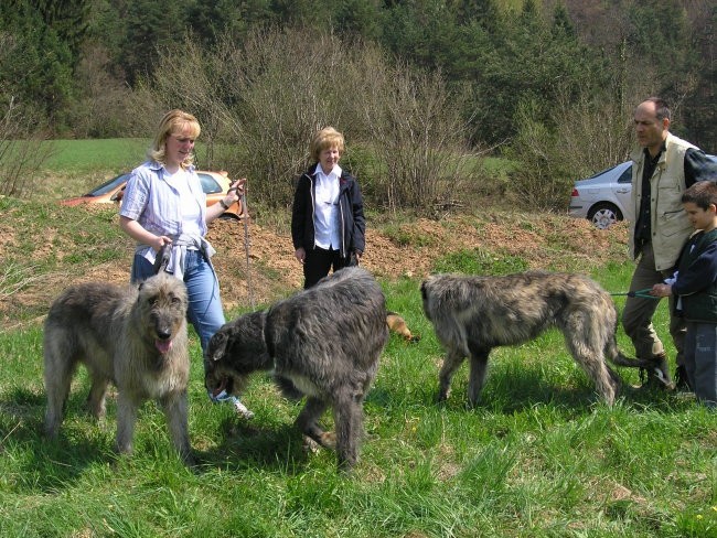 Coursing - Žaga - 22.04.2006 - foto povečava