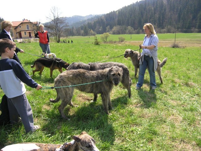 Coursing - Žaga - 22.04.2006 - foto povečava