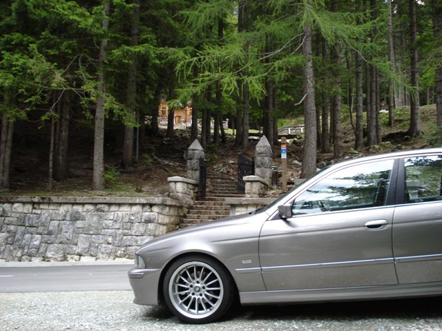 Bimmer - foto