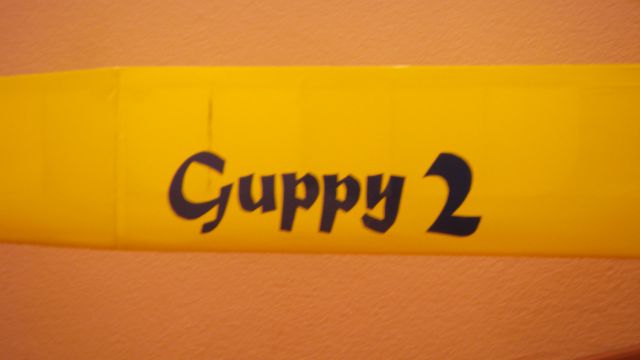 Guppy 2 - foto