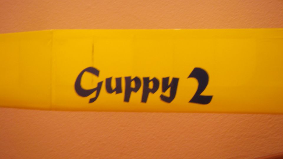 Guppy 2 - foto povečava