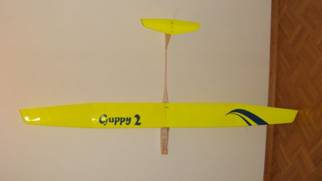 Guppy 2 - foto