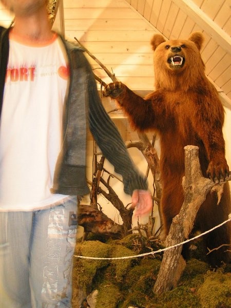 WHAT KIND OF ANIMAL?!! NEVER SEEN THAT IN MACEDONIA.....
