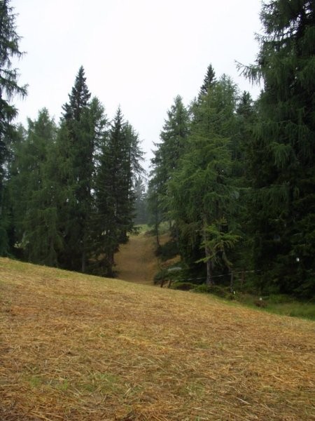 Bovec - Simon - foto povečava