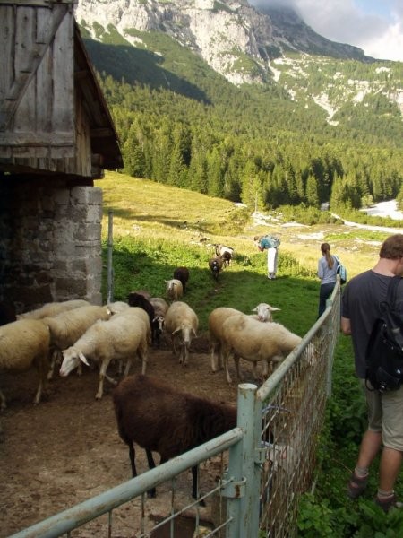 Bovec - Simon - foto povečava