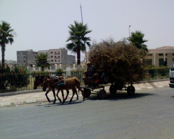 Morocco 2006 (mobile) - foto